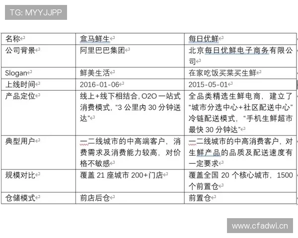 皇家集团与其他知名企业的对比与优势分析