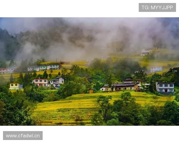 南宫中国加强文化交流促进民心相通的多元合作新举措