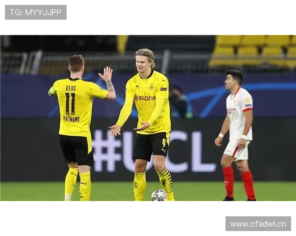 伟德体育官网注册流程详解及新手入门指南帮助玩家快速上手